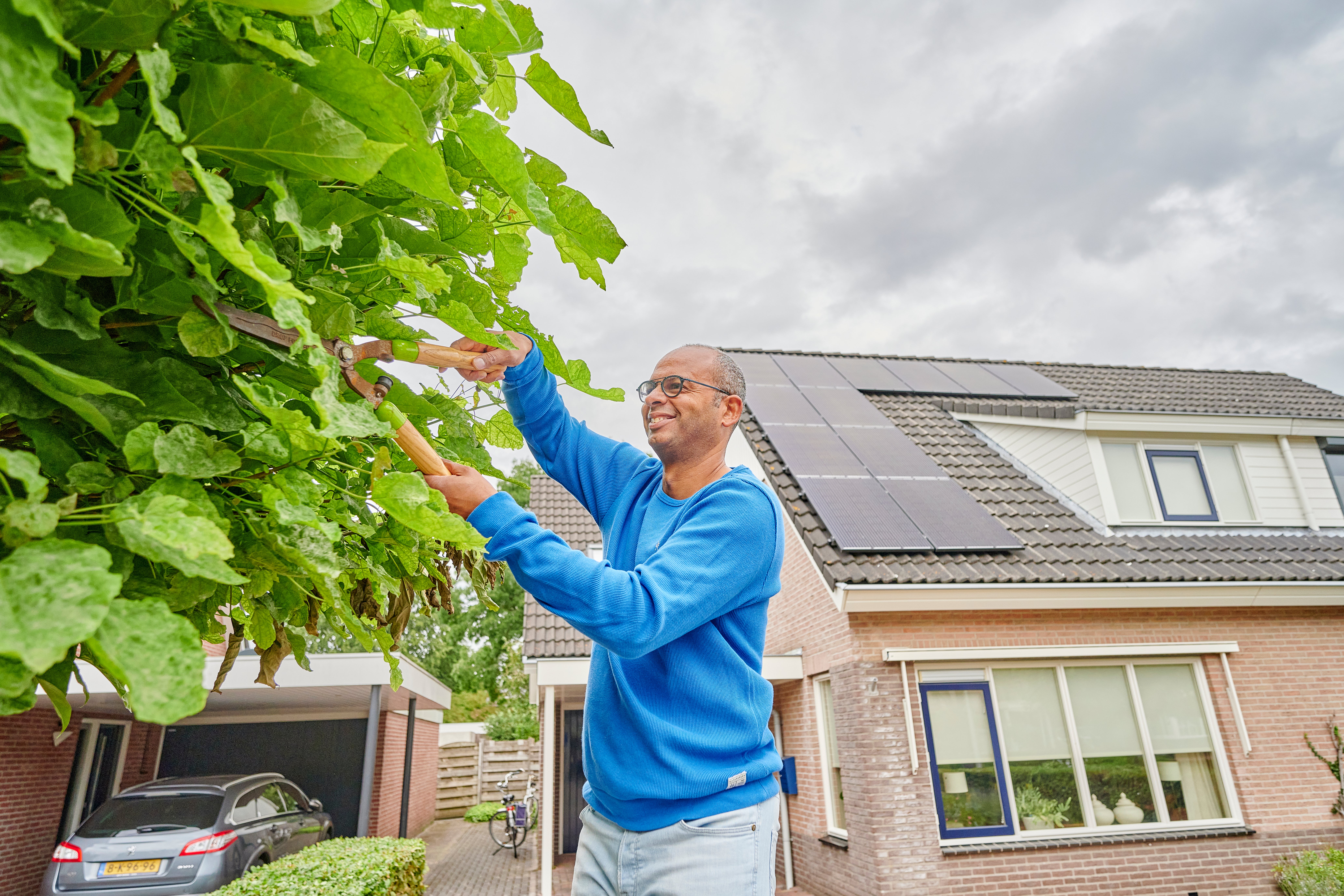 man snoeit boom met schaar