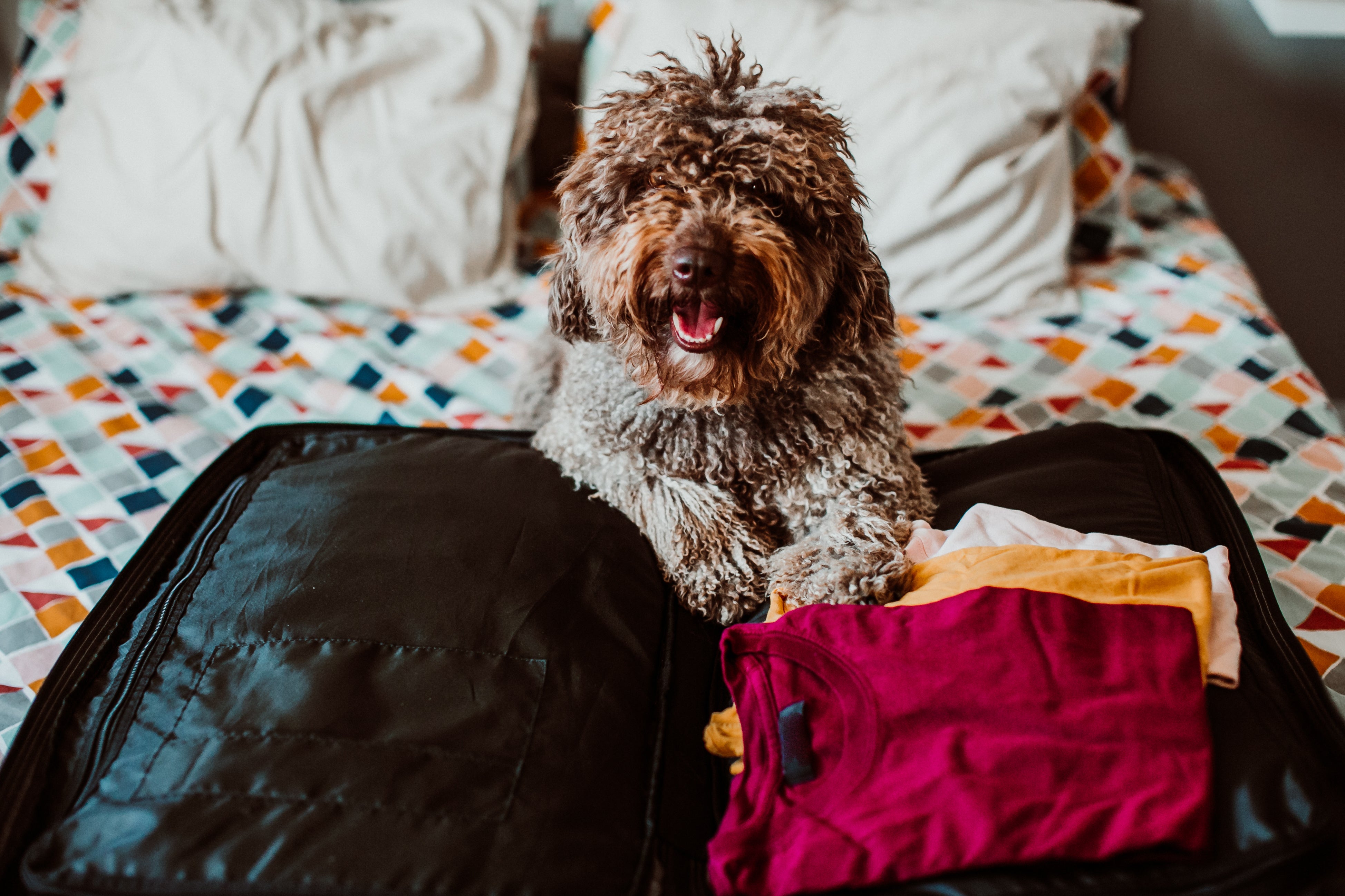 AdobeStock_270248264.jpeg