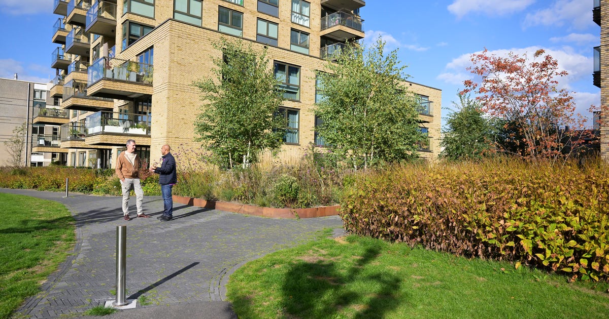 Vve Gemak Door Efficiënte Beheerders