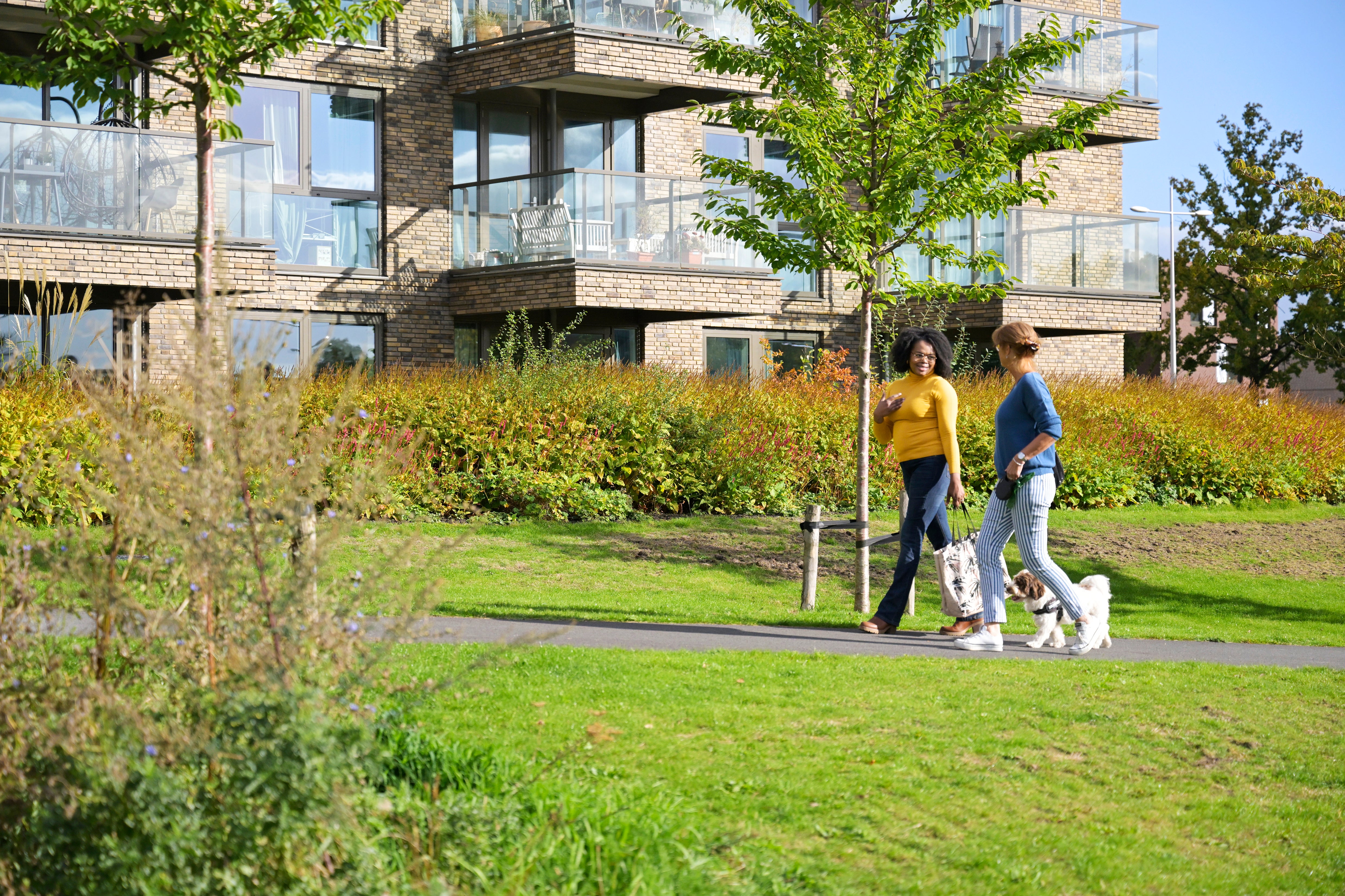 vrouwen met honden lopen door park bij appartementencomplex