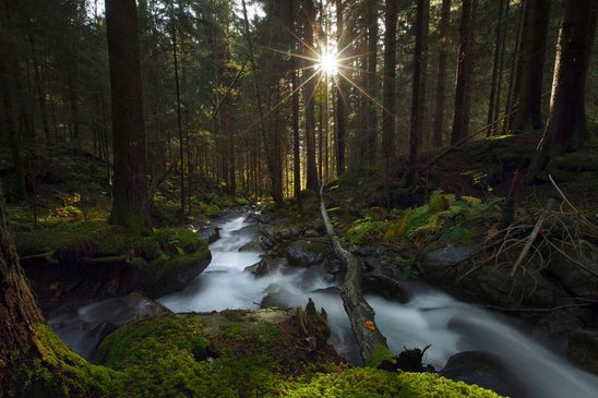 Schöne und erholsame Ferien | Berufsschule