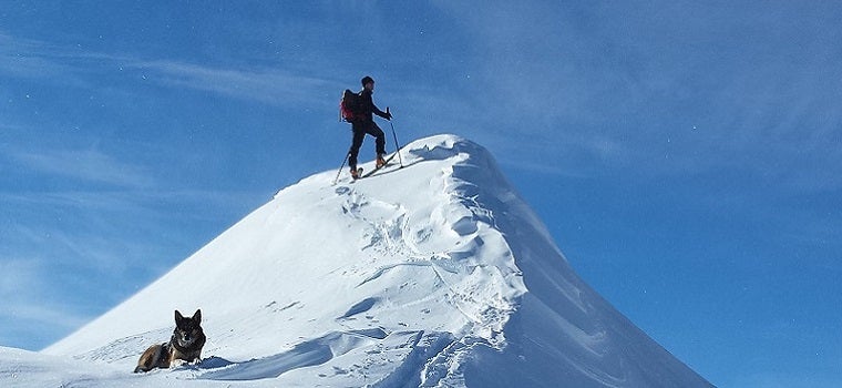 Skitourengeher mit Hund auf dem Berggipfel