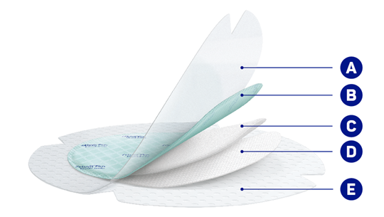 zetuvit plus silicone border produktaufbau phi23 02 31