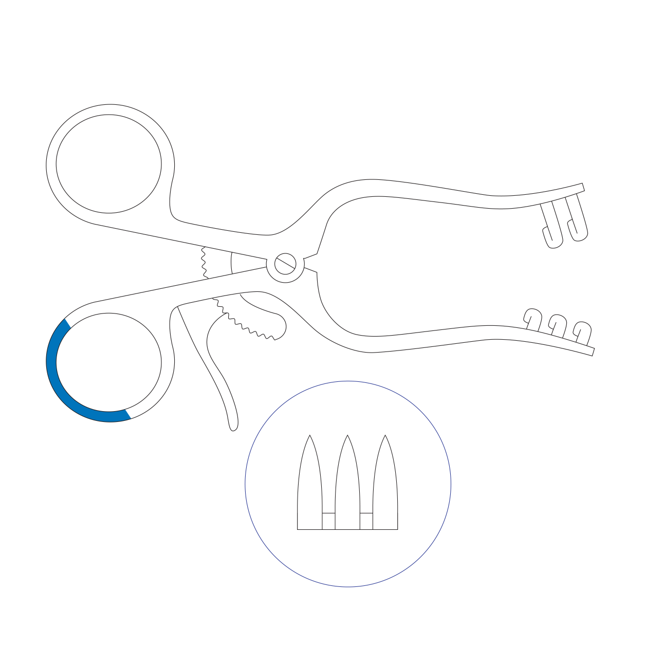 Divaricatore Weitlaner