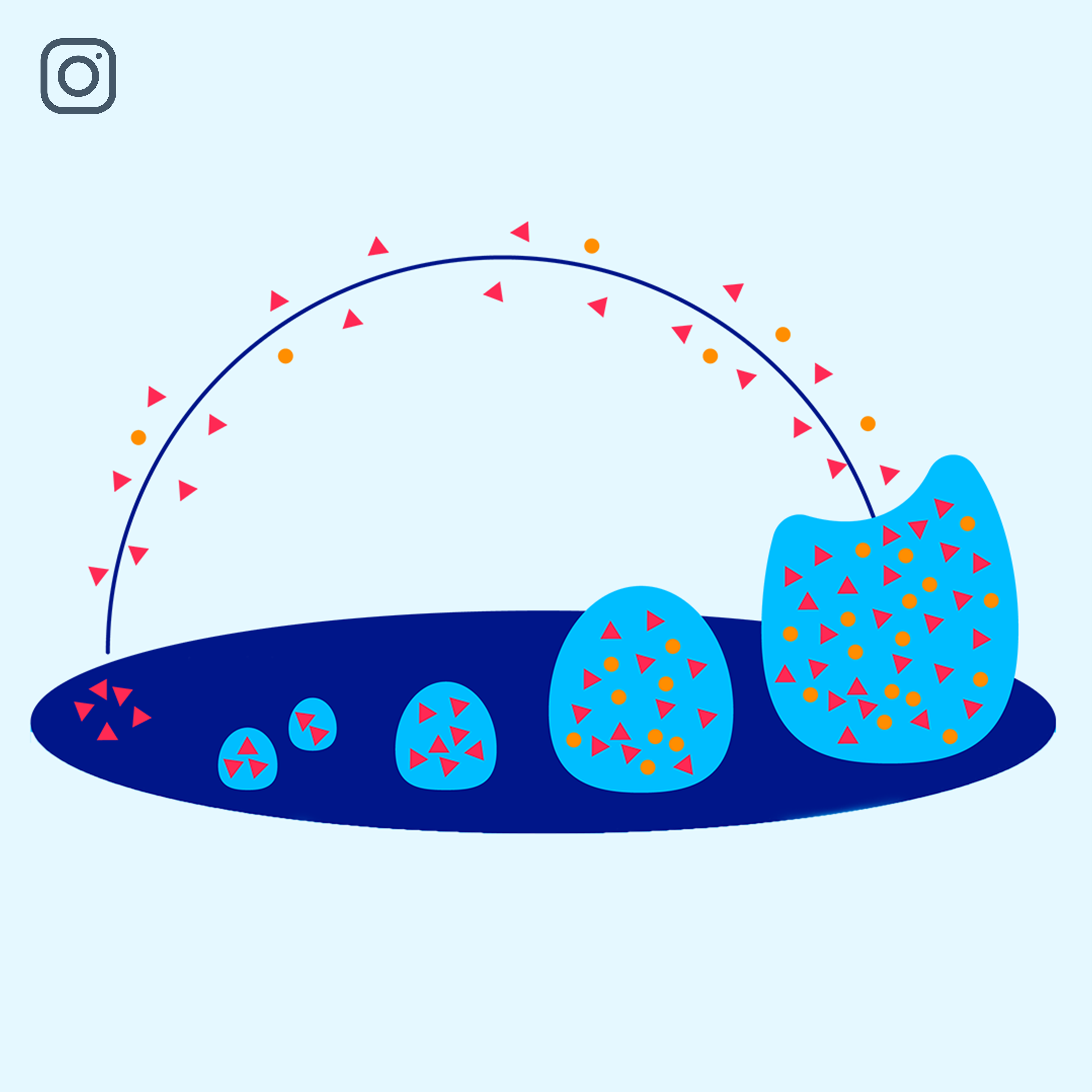 Grafik von einer Biofilm-Bildung