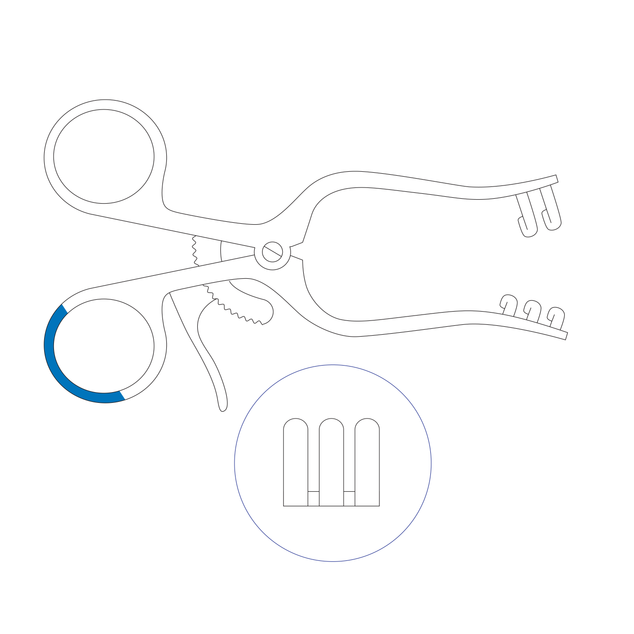 Divaricatore Weitlaner