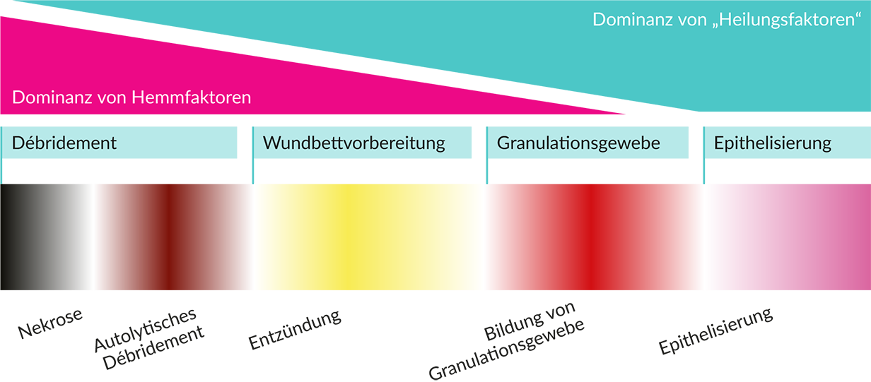 Wund-Balance-Dominanz-von-Heilungsfaktoren