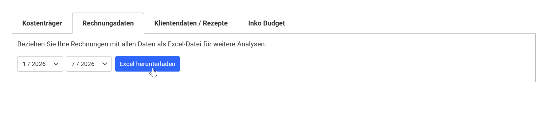 Rechnungsdaten Auswertung Analysis