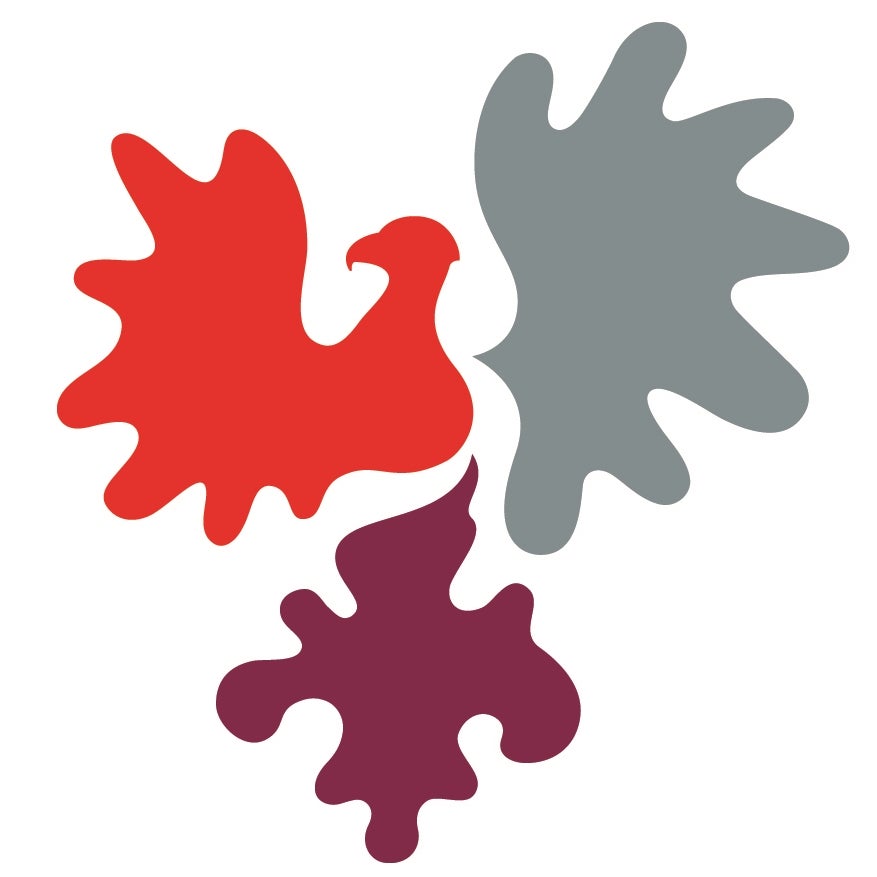 Euregio Arbeitsgruppe Sport