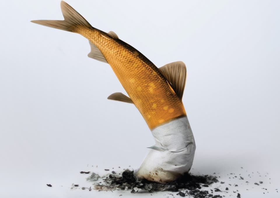 Case study card header image