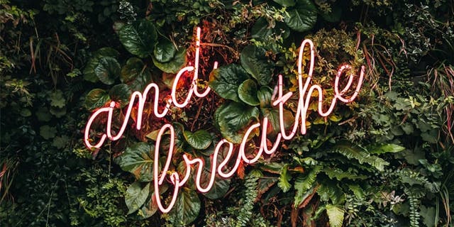 Article card header image