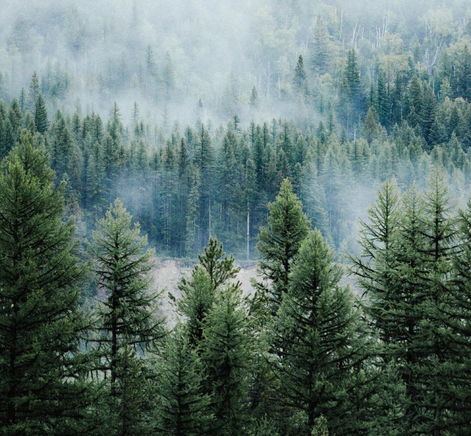 Article card header image