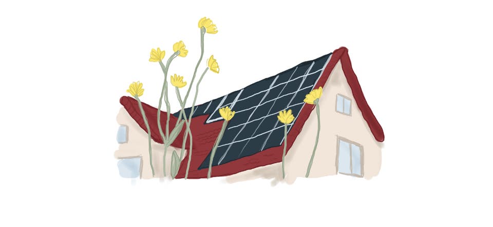 Article card header image