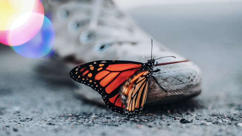 Article card header image