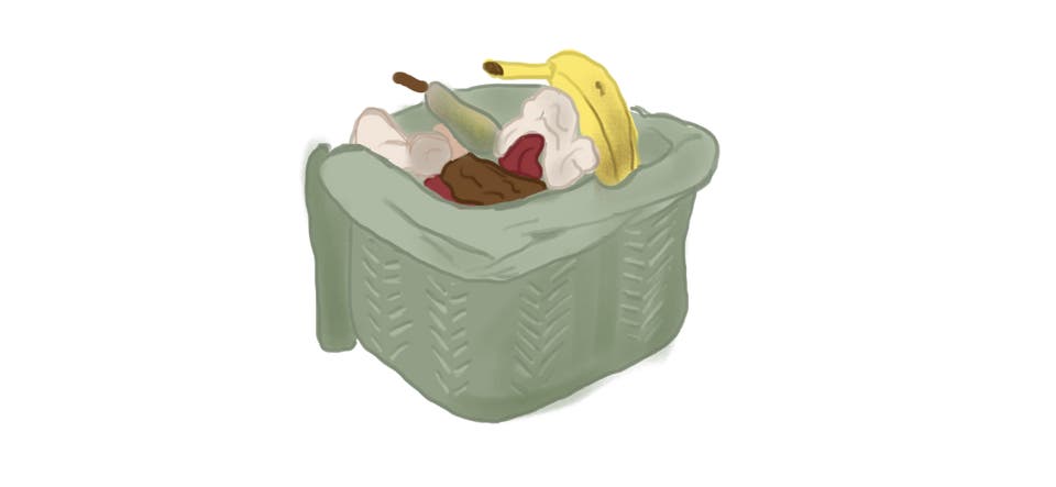 Article card header image