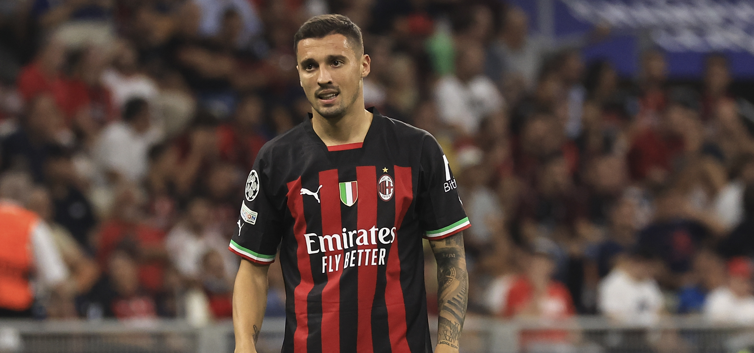 Rade Krunic, Fenerbahçe