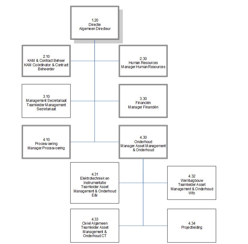 Het organogram van de interne organisatie van Delfluent Services