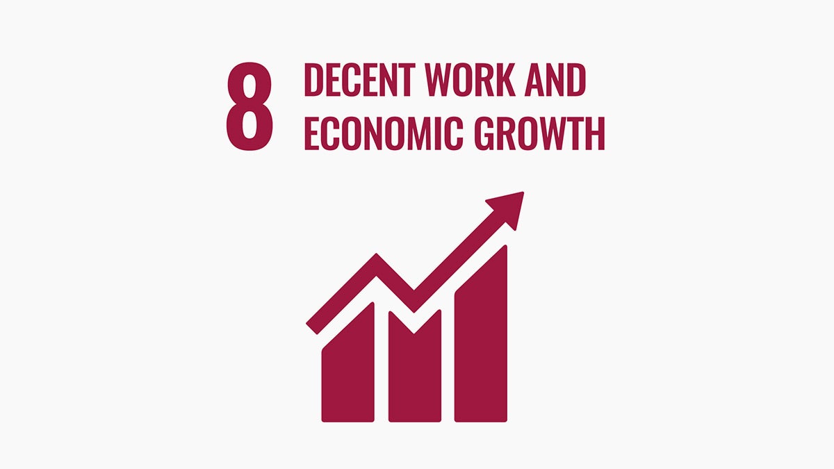 Decent Work and Economic Growth