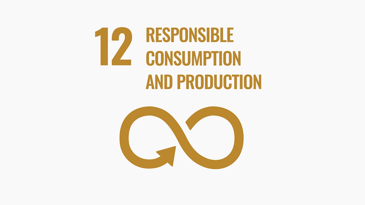 Responsible Consumption and Production