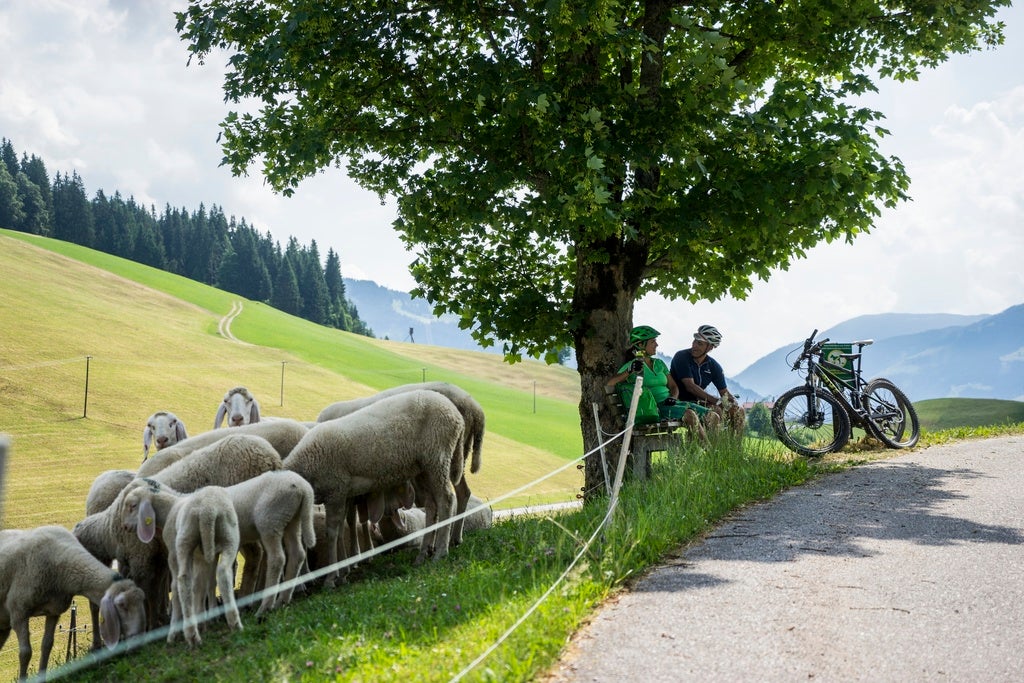 Hopfgarten-im-Brixental © Tirol-Werbung Foto Peter Neusser