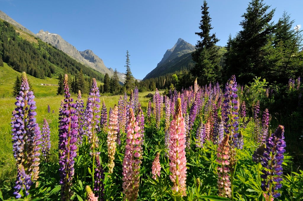 St-Anton-am-Arlberg-Verwalltal © Oesterreich-WerbungFoto Josef Mallaun