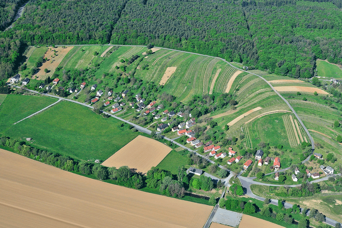 In_der_Weinidylle © E. Neffe