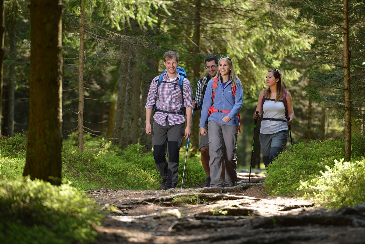 Wanderer_im_Joglland_Waldheimat_in_der_Steiermark © Kurt_Elmleitner