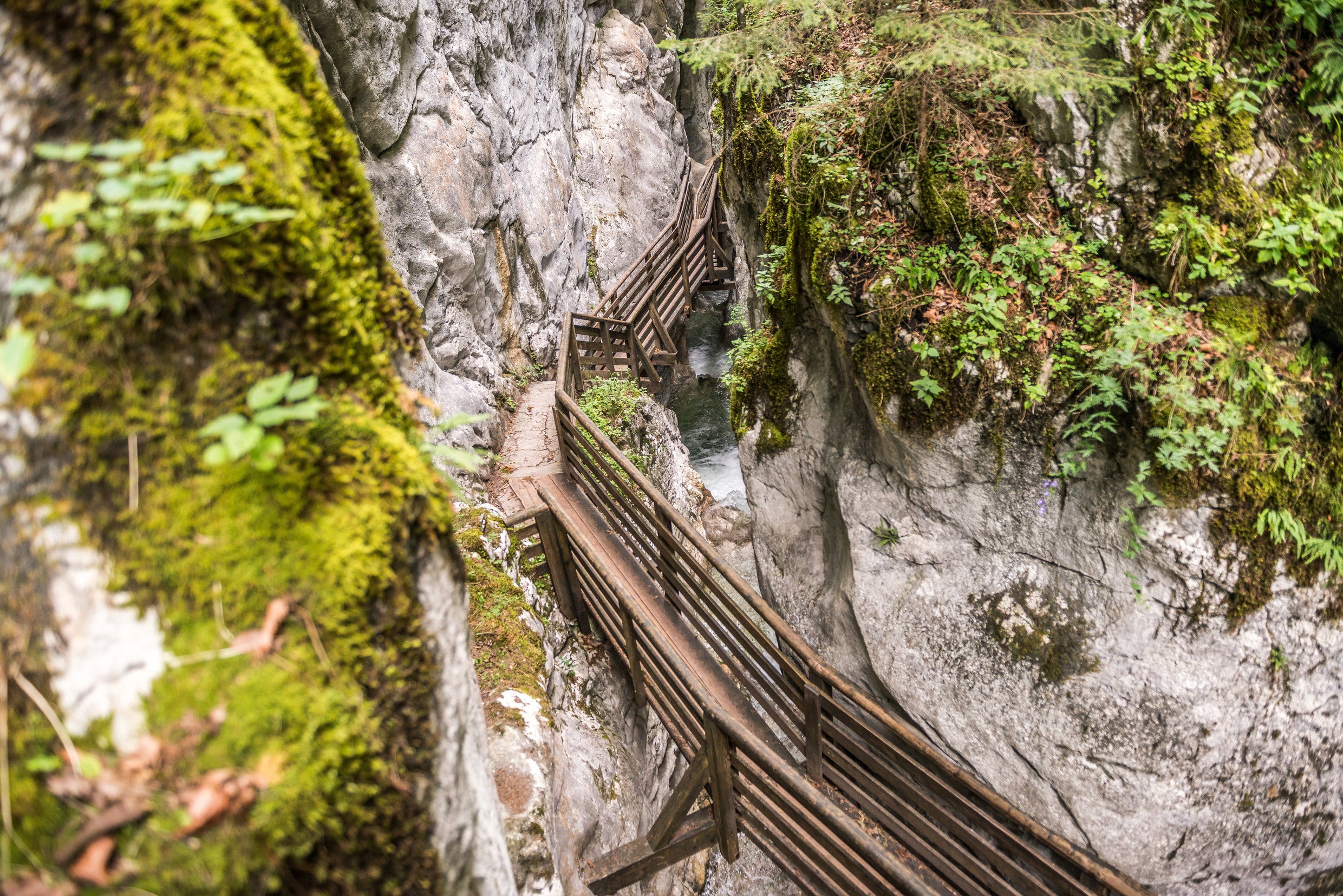 Seisenbergklamm-in-Weissbach-bei-Lofer © SalzburgerLand-Tourismus Foto Achim Meurer