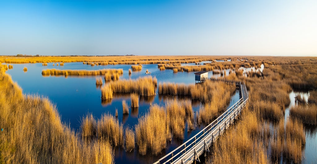 Nationalpark-Neusiedler-See-Seewinkel © Oesterreich-Werbung Foto Julius Silver 
