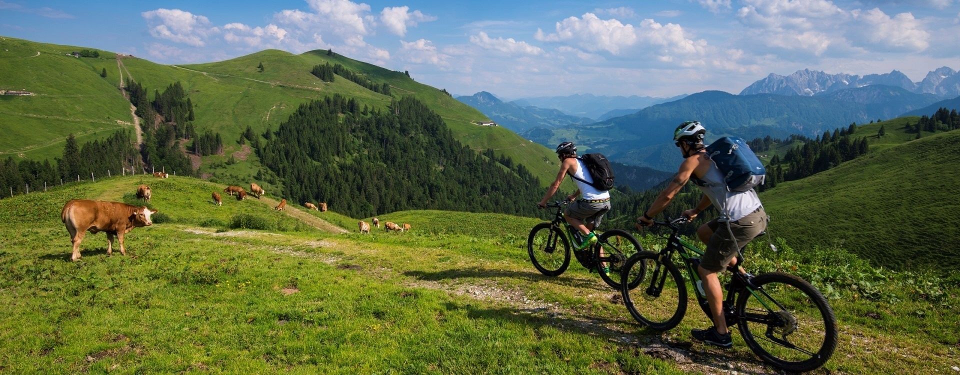 © www.kaiserwinkl.com