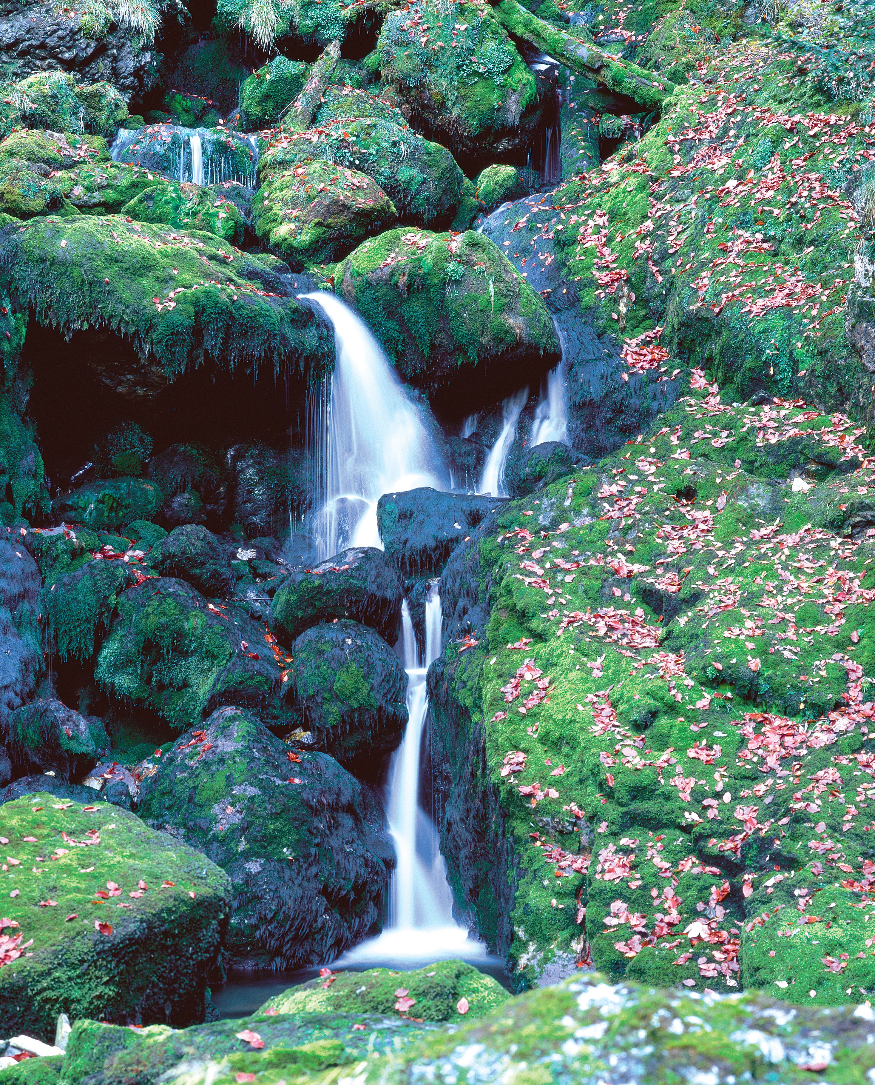 Wasserfall im Nationalpark Kalkalpen © F. Kovacs