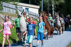 Spaß mit Lamas und Alpakas beim Ferienprogramm © Zell am See-Kaprun Tourismus / Mairitsch