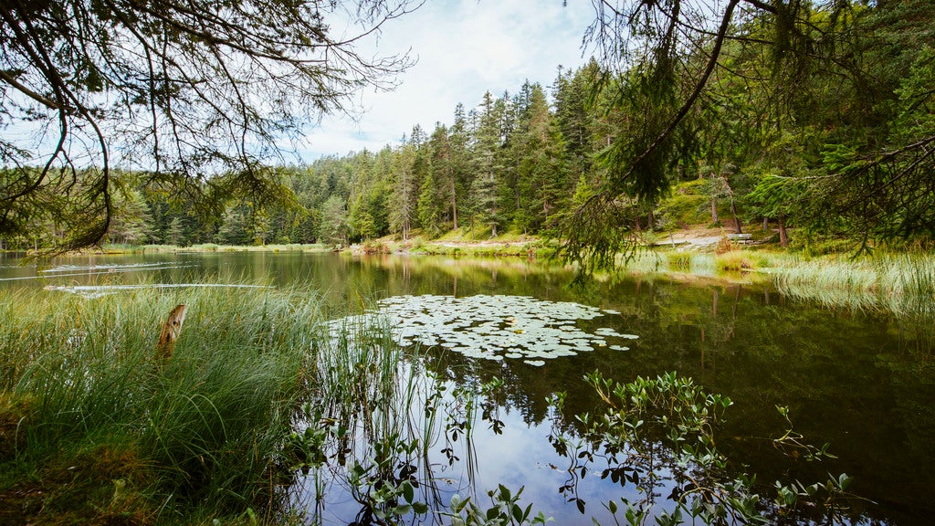 Moeserer-See-bei-Seefeld-in-Tirol © Oesterreich-Werbung Foto Karolin Pernegger