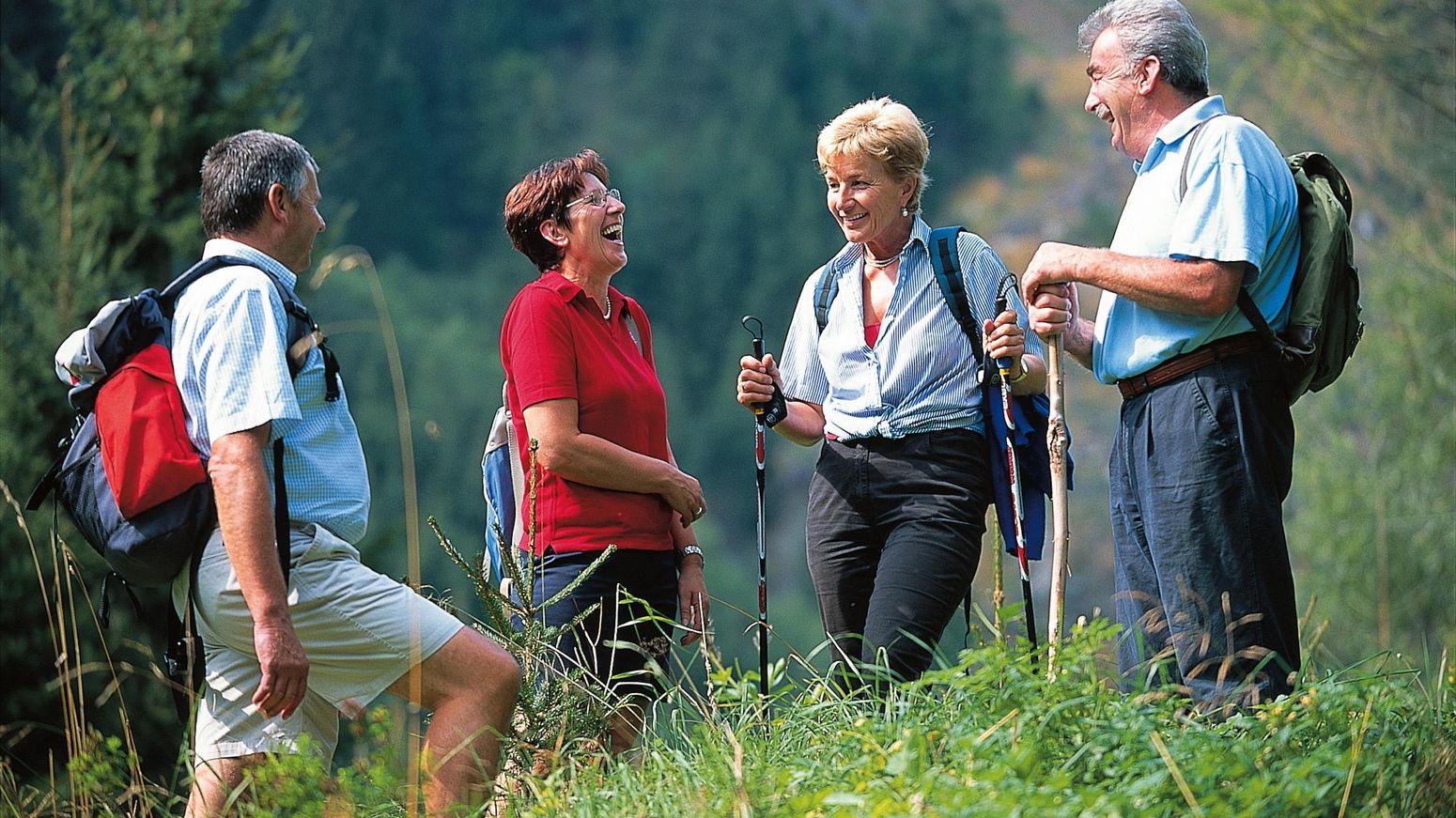 Wandern © Steiermark Tourismus Foto Harry Schiffer