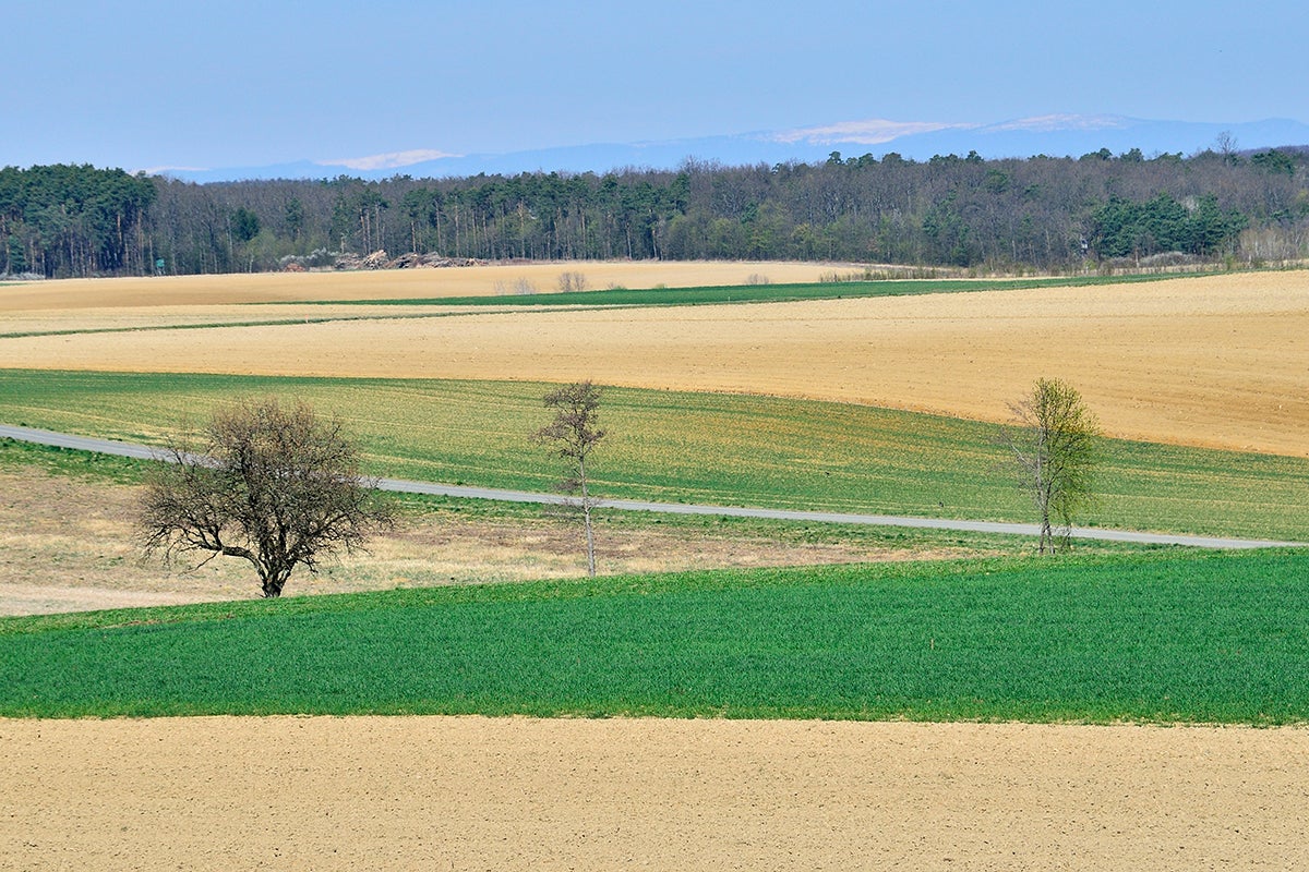 Naturpark-Weinidylle © E. Neffe