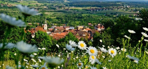 © www.hartbergerland.at