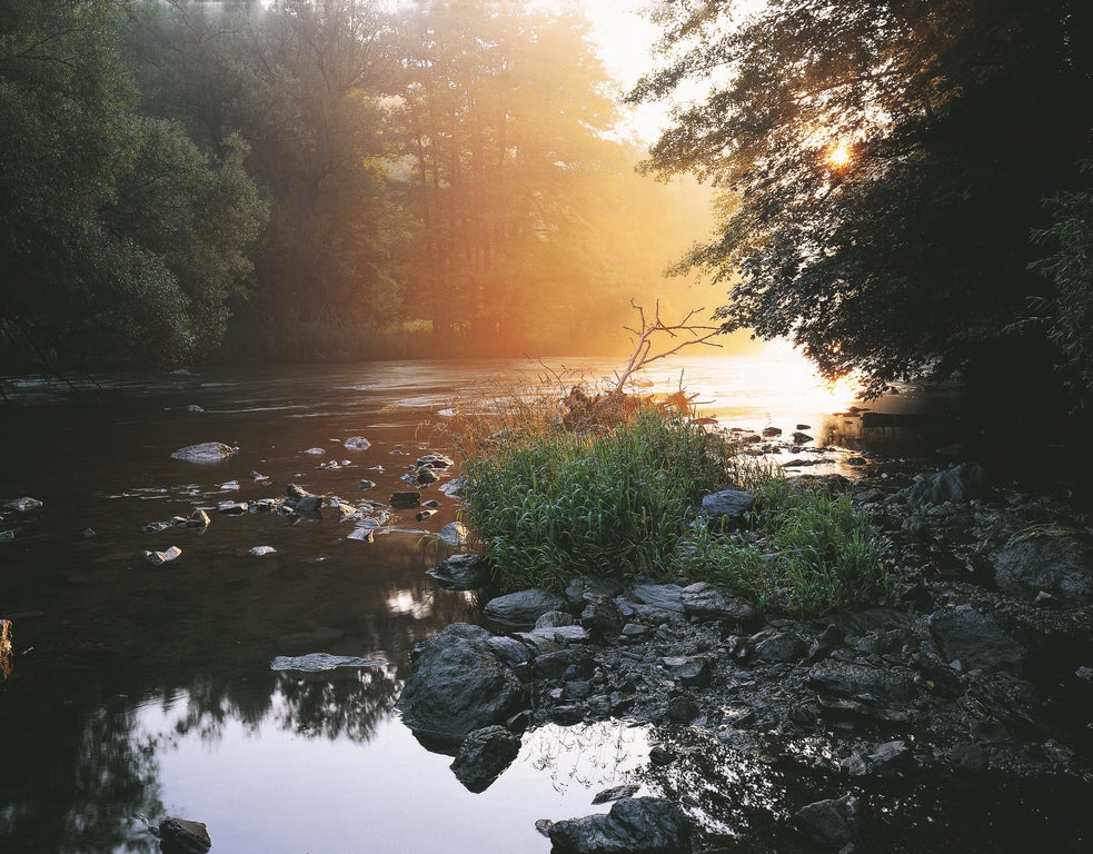Abend-im-Nationalpark-Thayatal © Oesterreich-Werbung Foto Georg Popp