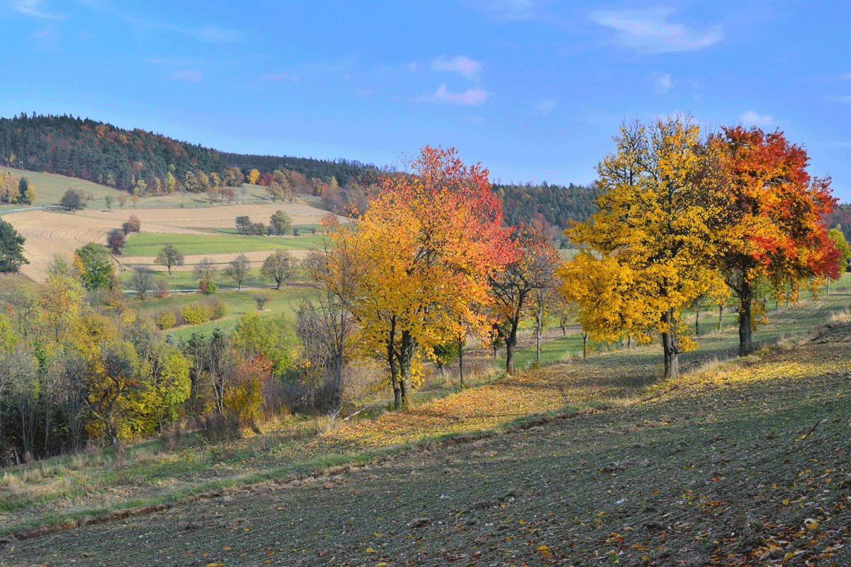 Naturpark Landseer Berge © E. Neffe
