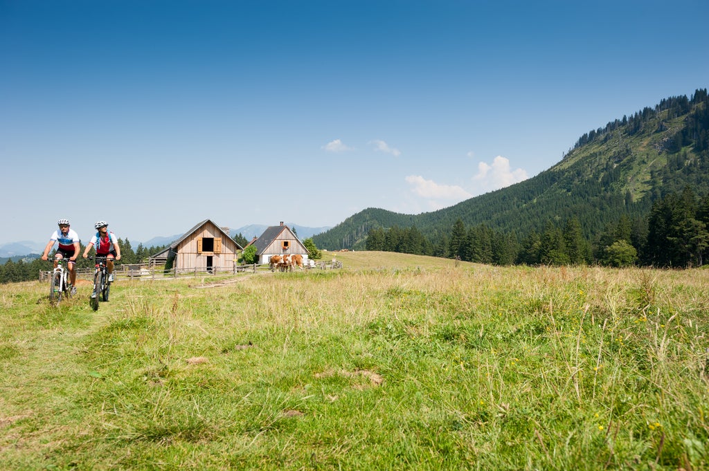 Mountainbiken-im-Nationalpark-Kalkalpen © Oberoesterreich-Tourismus-GmbH Foto Ralf Hochhauser