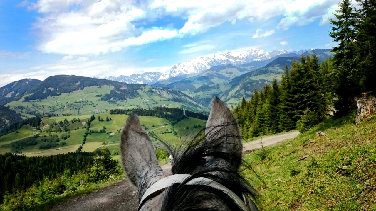 © Embacher Sporthotel.at