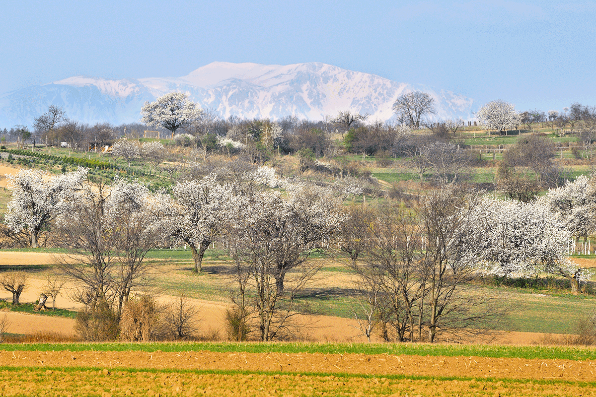 Naturpark_Rosalia-Kogelberg © H. Marek