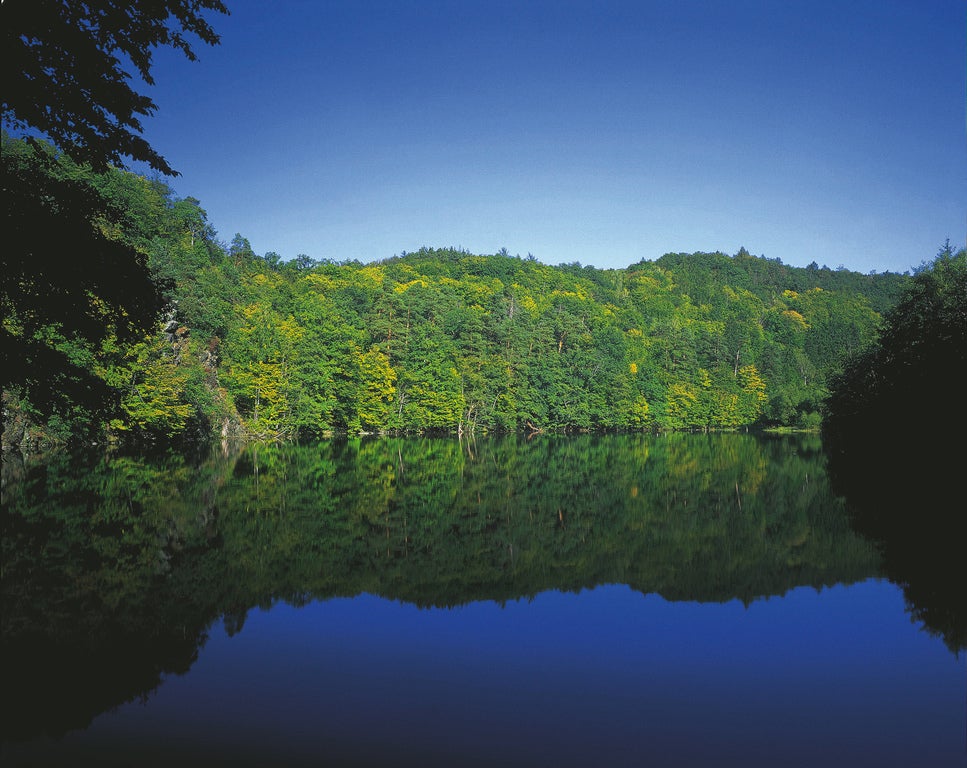 Nationalpark-Thayatal-Teich-bei-Hardegg © Oesterreich-Werbung Foto Georg Popp