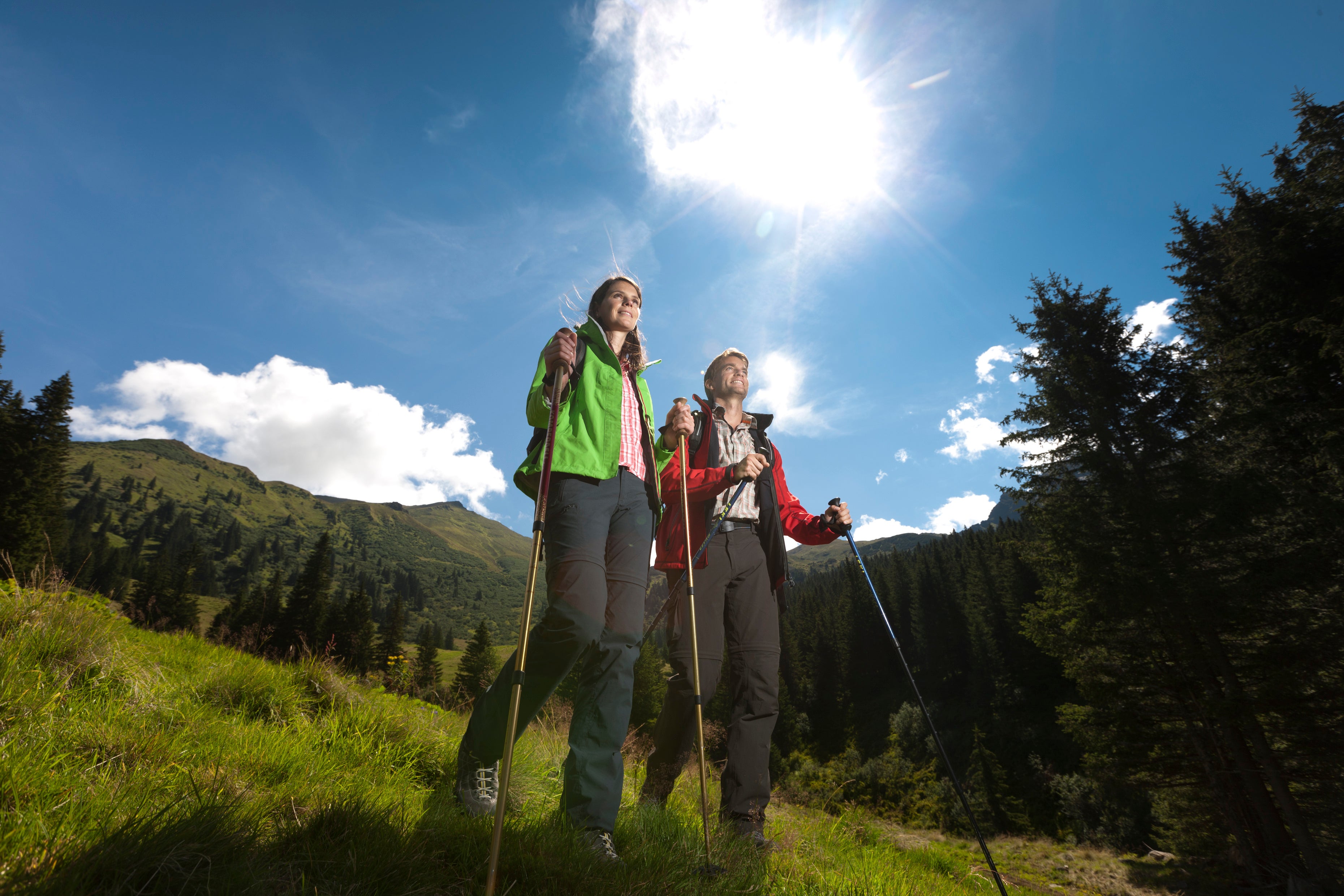 Hemma-Pilgerweg, Donnersbachwald © Steiermark Tourismus Foto Tom Lamm