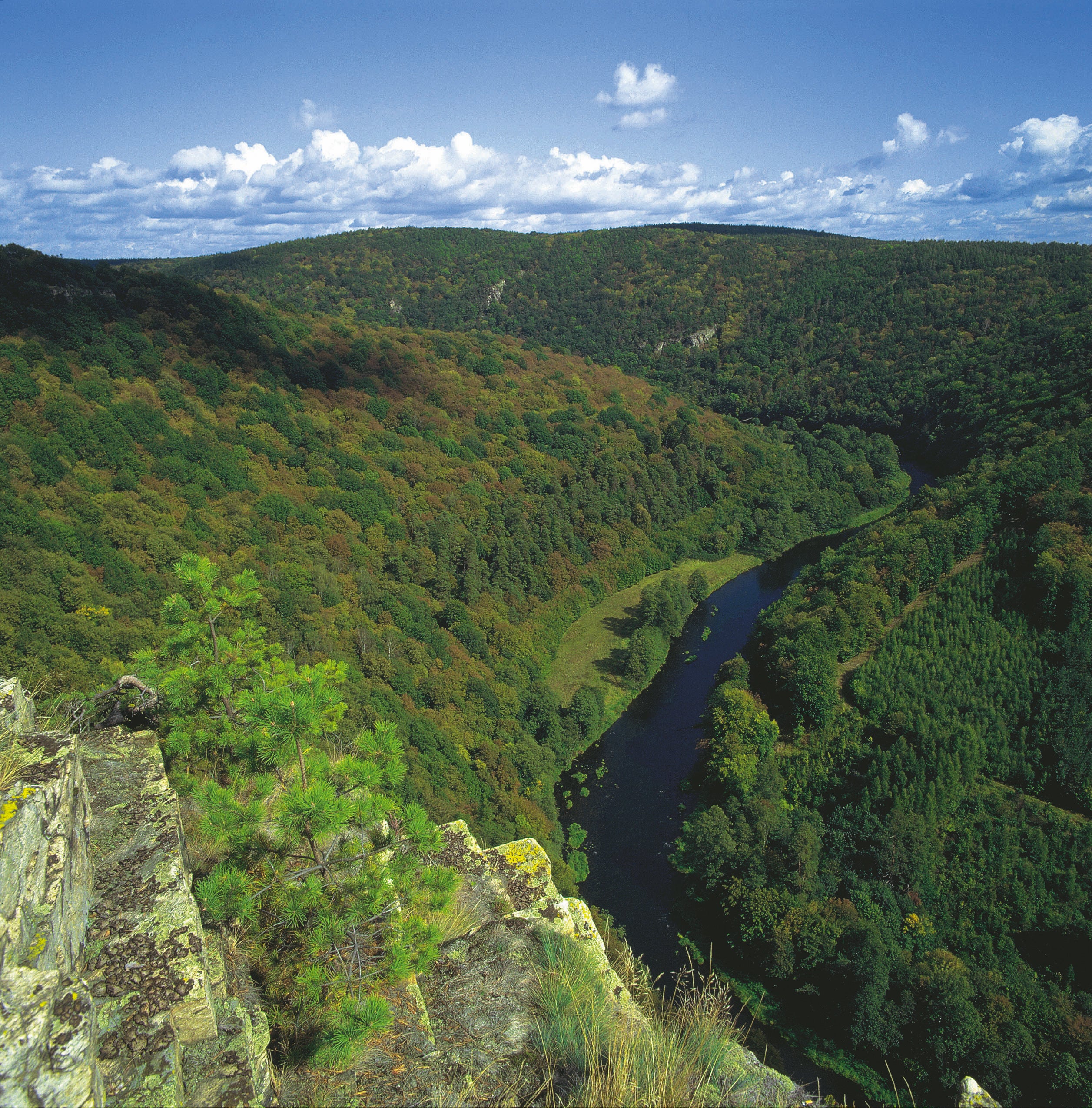 Bei-Hardegg-Nationalpark-Thayatal © Oesterreich-Werbung Foto H. P. Graner