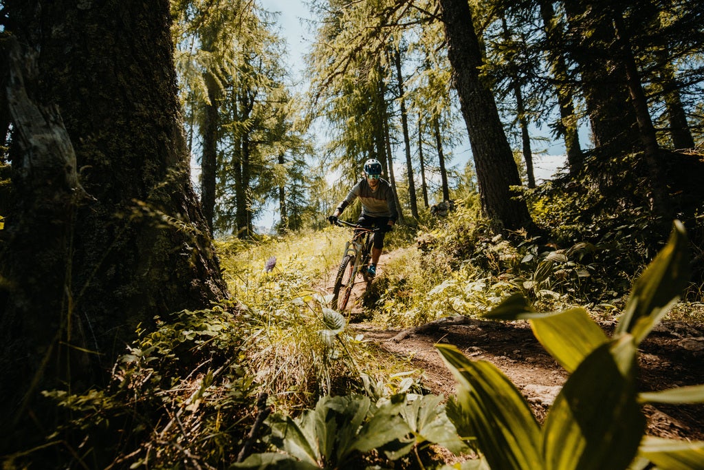 Mountainbiken-Region-Klopeiner-See-Suedkaernten-MTB-Zone-Bikepark-Petzen © Oesterreich-Werbung Foto Charly Schwarz