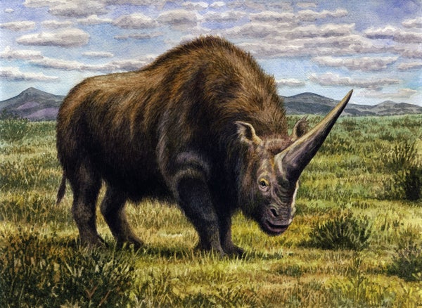 Extinct 'Siberian unicorn' may have lived alongside humans | Research ...