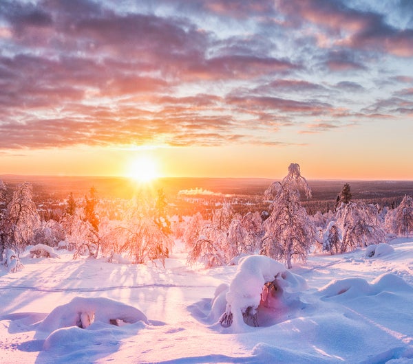 The Arctic’s changing landscape: Impact on plants, animals, livelihoods