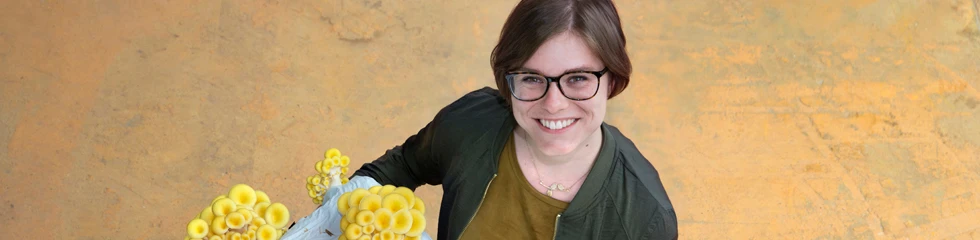 Een vrouw heeft zelf gekweekte gele oesterzwammen vast