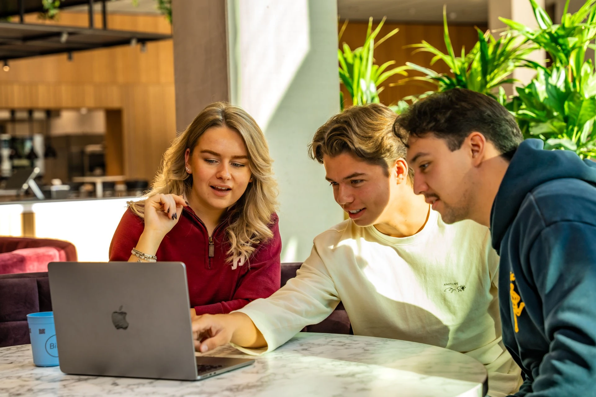 hbo-voorbereidinsgprogramma Avans Hogeschool