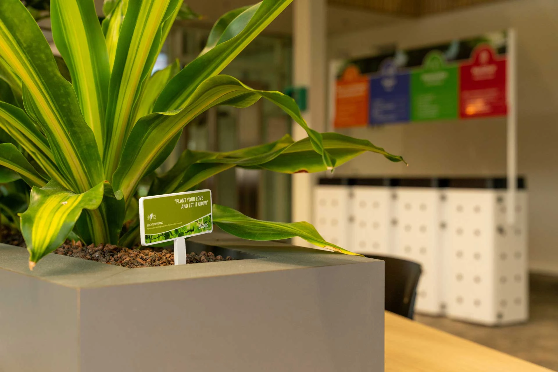 Kantoorplant met op de achtergrond afvalscheiding in vuilnisbakken in het Avansgebouw